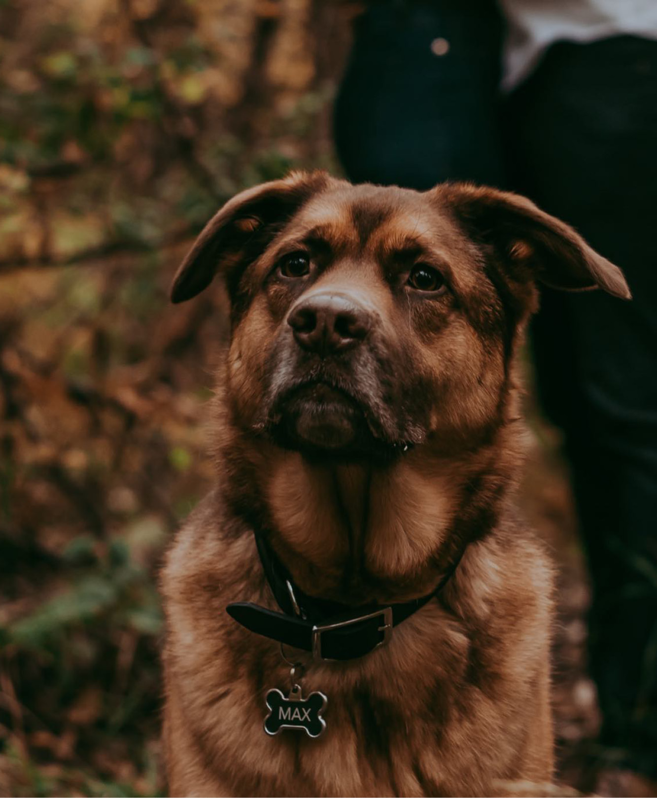 Max